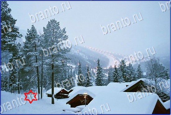 ответы на игру Найди кота Уровень 2415