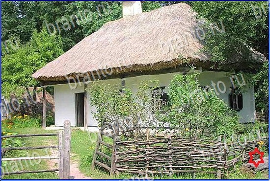 решения на игру Найди кота Уровень 2419