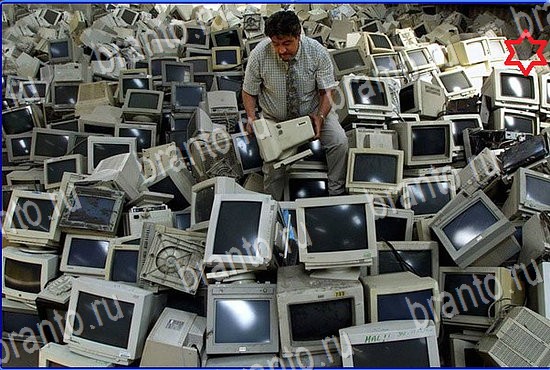 решения на игру Найди кота Уровень 2443