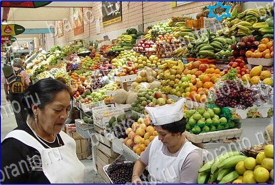 помощь на игру Найди кота Уровень 2444