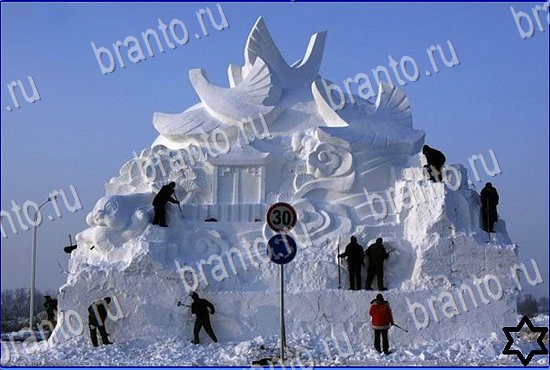 Найди кота игра в Одноклассниках ответы Уровень 2451