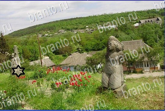 решения на игру Найди кота Уровень 2459