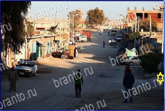 игра Найди кота ответы на все уровни