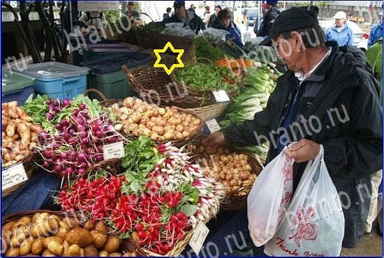 ответы на игру Найди кота Уровень 2462