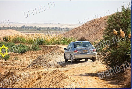 ответы на игру Найди кота Уровень 2464