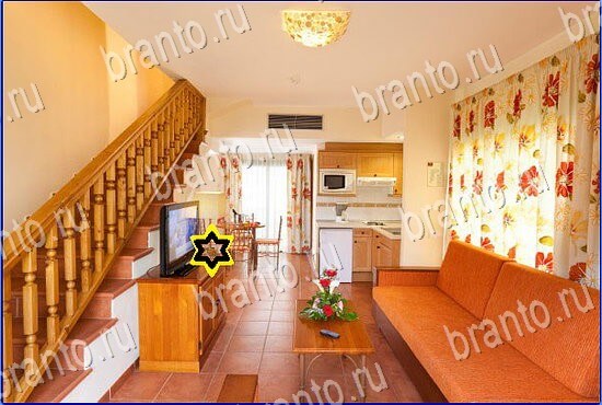 фотоответы на игру Найди кота Уровень 2466