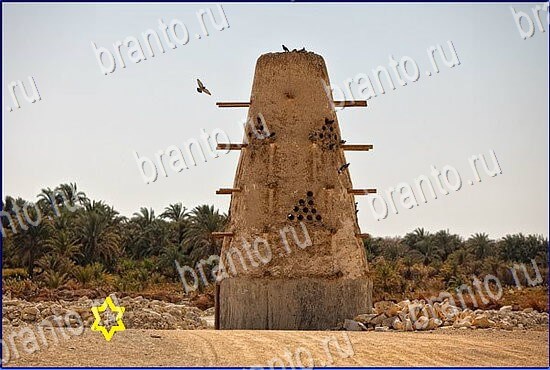 ключи на игру Найди кота Уровень 2468