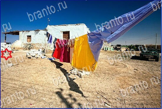 фото-ответы на игру Найди кота Уровень 2469