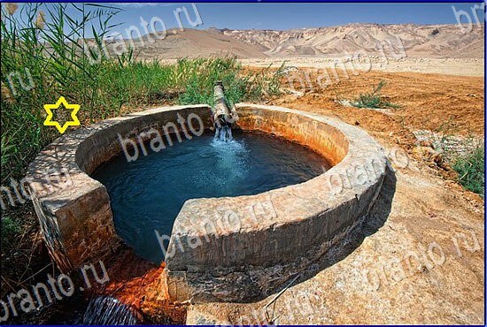 ответы на игру Найди кота Уровень 2470