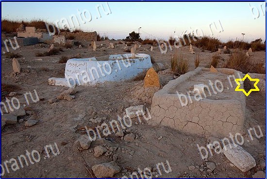 Игра Найди кота в Одноклассниках прохождение Уровень 2472