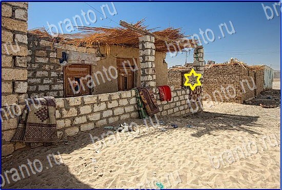 Игра Найди кота в Одноклассниках решения Уровень 2473