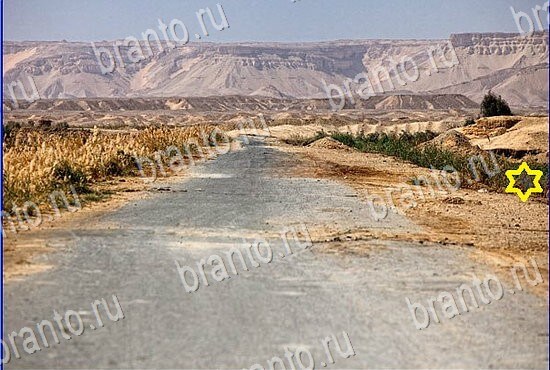 ответы на игру Найди кота Уровень 2475