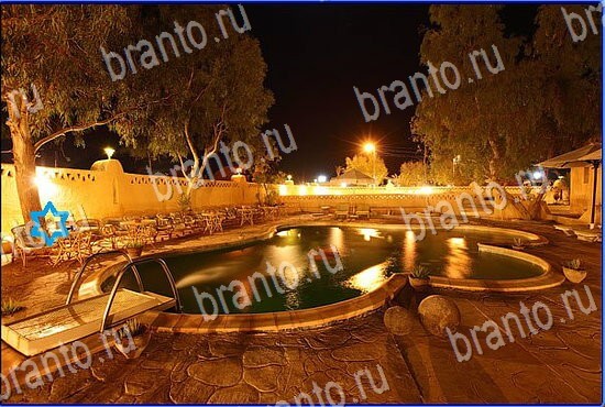 Игра Найди кота Одноклассники ответы Уровень 2477