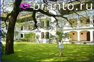 ответы на игру Найди кота Уровень 561