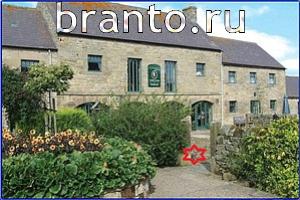 ответы на игру Найди кота Уровень 562