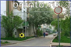 ответы на игру Найди кота Уровень 565