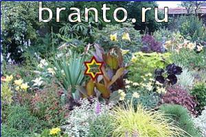 ответы на игру Найди кота Уровень 569