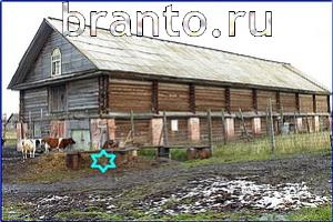 ответы на игру Найди кота Уровень 574