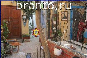 ответы на игру Найди кота Уровень 576