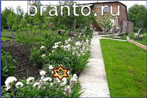 ответы на игру Найди кота Уровень 579