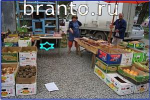 ответы на игру Найди кота Уровень 584