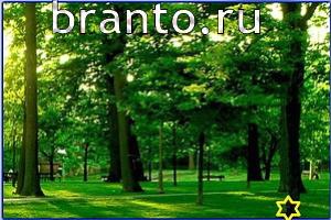 ответы на игру Найди кота уровень 600