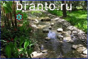 ответы на игру Найди кота Уровень 723