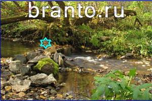 ответы на игру Найди кота Уровень 724