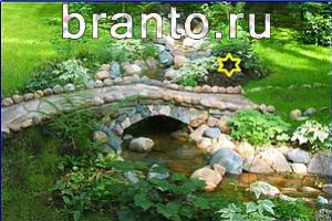 ответы на игру Найди кота Уровень 725