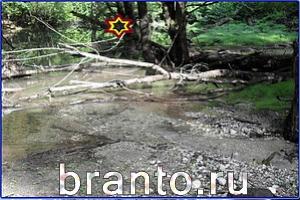 ответы на игру Найди кота Уровень 727