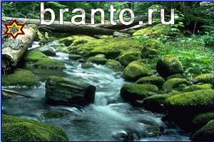 ответы на игру Найди кота Уровень 728