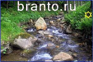 ответы на игру Найди кота Уровень 730