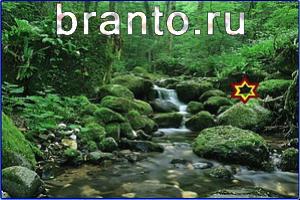 ответы на игру Найди кота Уровень 732