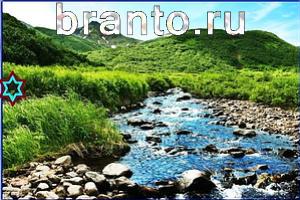 ответы на игру Найди кота Уровень 733