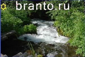 ответы на игру Найди кота Уровень 734