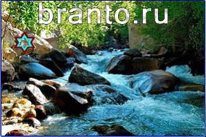 ответы на игру Найди кота Уровень 735