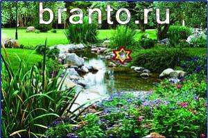 ответы на игру Найди кота Уровень 736