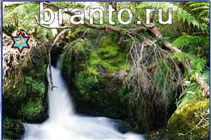 ответы на игру Найди кота Уровень 737