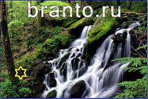 ответы на игру Найди кота Уровень 738