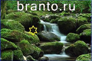 ответы на игру Найди кота Уровень 739