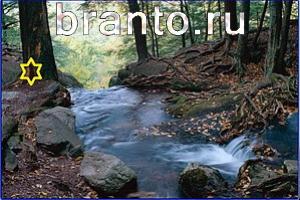 ответы на игру Найди кота уровень 740