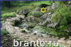 ответы на игру Найди кота Уровень 741