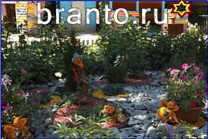 ответы на игру Найди кота Уровень 747