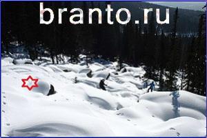 ответы на игру Найди кота Уровень 751