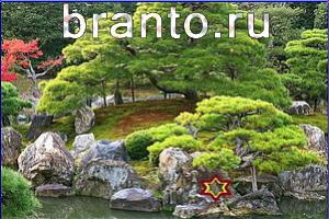 ответы на игру Найди кота Уровень 757