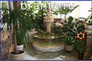 ответы на игру Найди кота Уровень 764