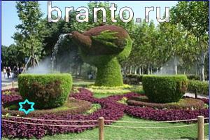 ответы на игру Найди кота Уровень 778