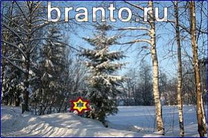 ответы на игру Найди кота уровень 800