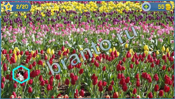 Решения на игру Где кот уровень 3