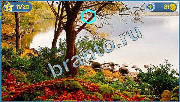 Где кот? решения уровень 12